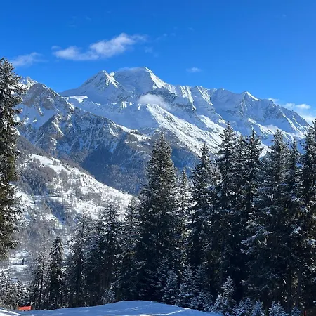 Lägenhet L'epilobe La Plagne-Tarentaise